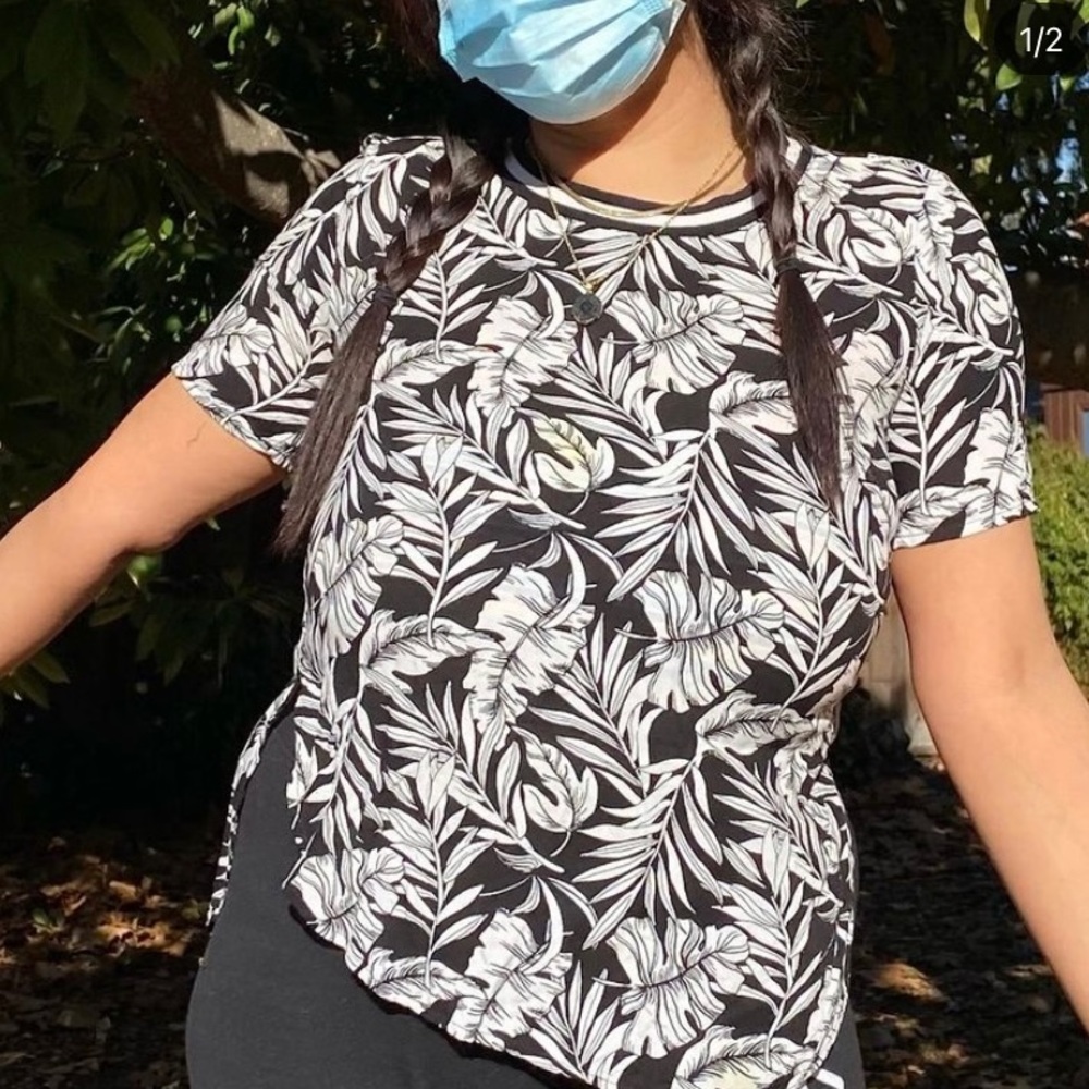 Hollister Palm Tree Tee